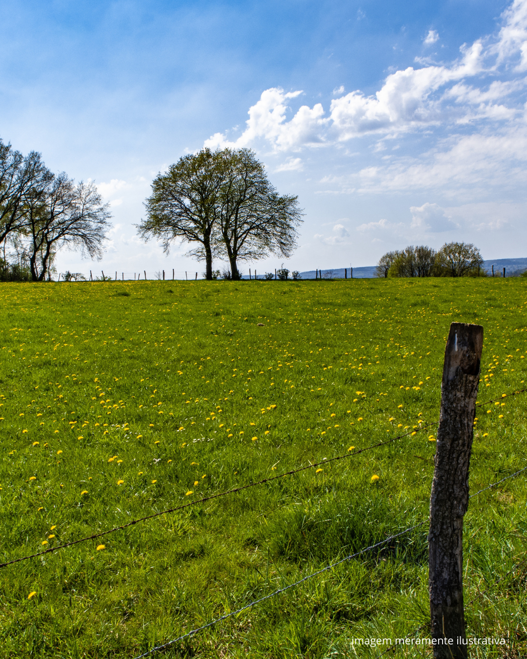 TERRENO DE CAMPO - SÍTIO MALHADA, SOLANEA/PB