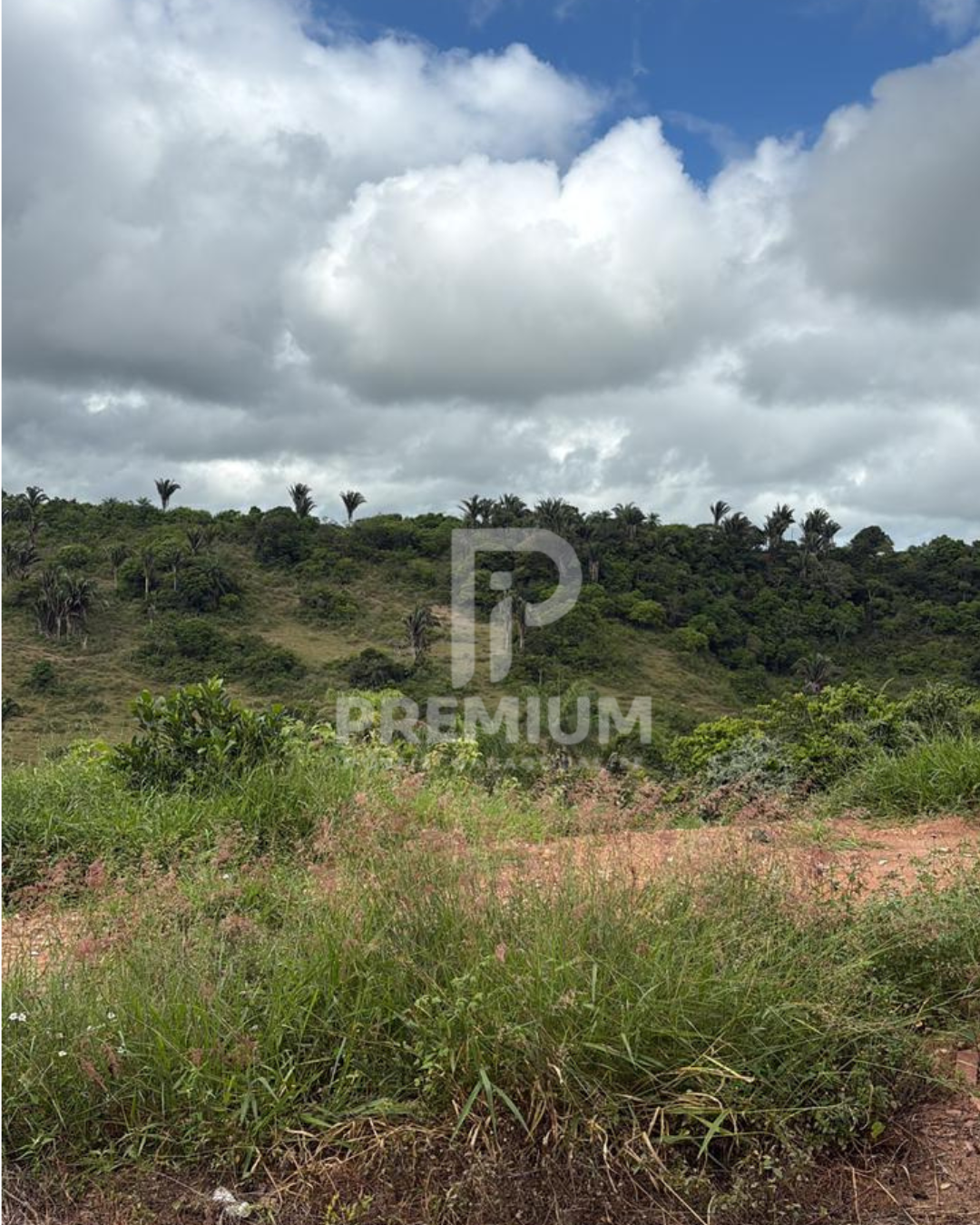 LOTE 06 QUADRA L - CONDOMÍNIO CAMINHOS DA SERRA